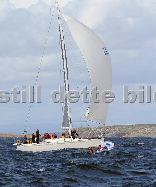 ORCi 269.jpg